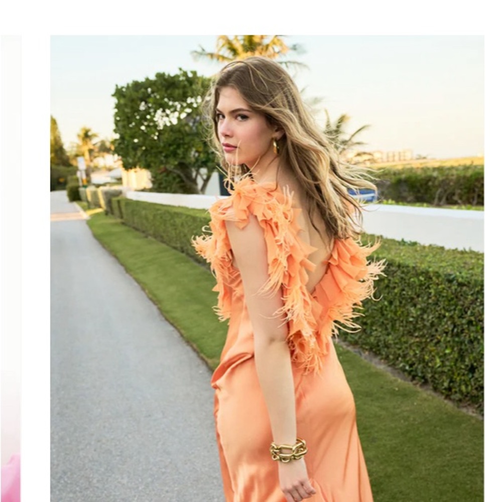 Elegant Orange Feathered Dress